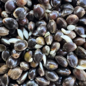 Procarpparticles Stabilised (Shelf Life) Premium Hemp