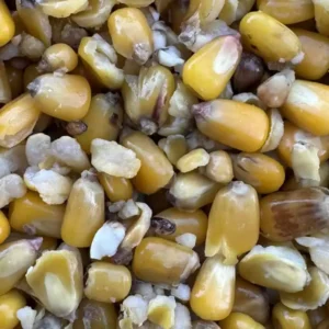 Procarpparticles fresh maize particle mix