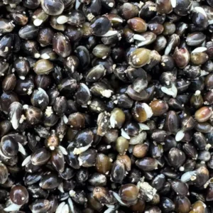 Procarpparticles Stabilised (Shelf Life) Hemp and Garlic Particle grab bag